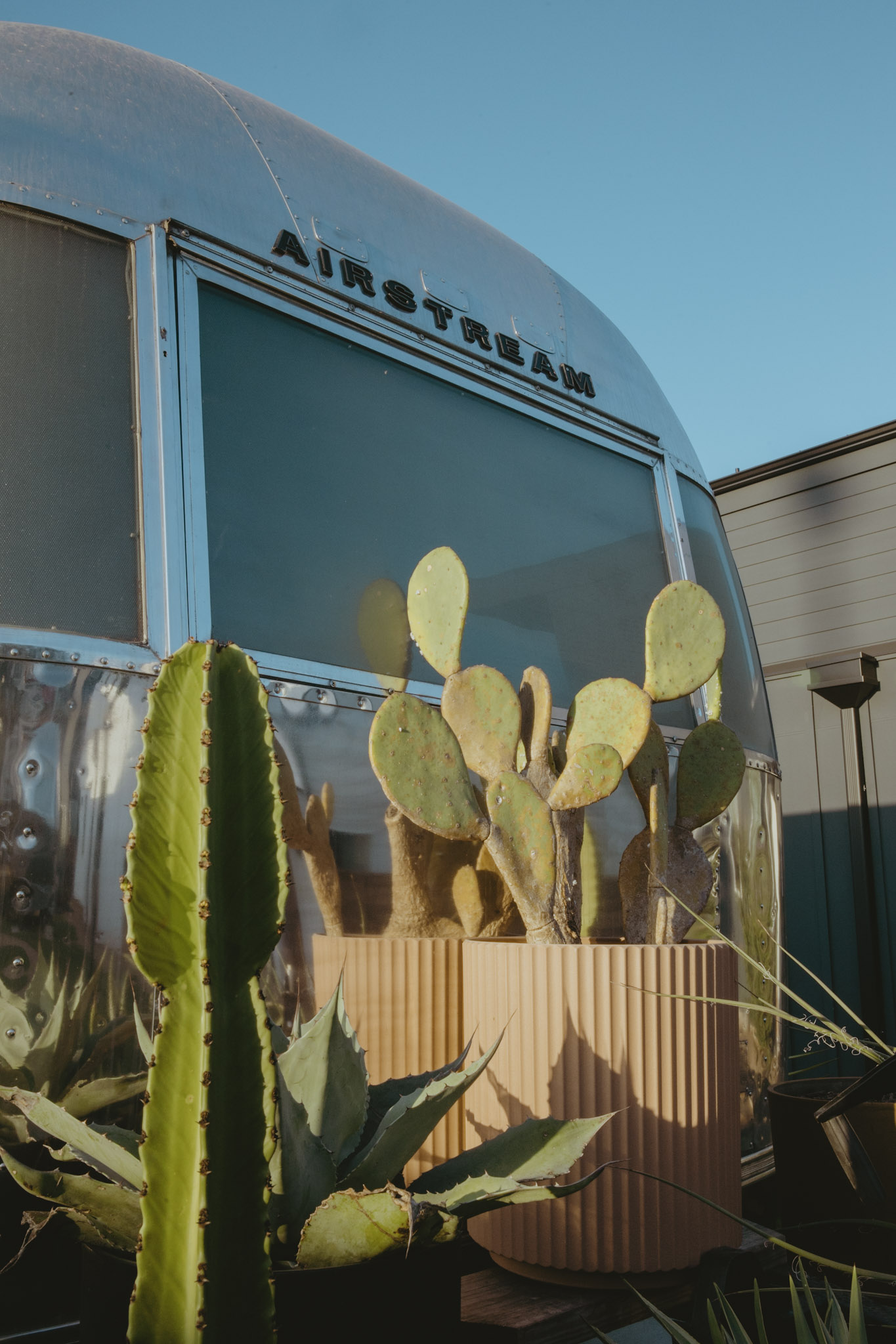 Cactus reflected in a vintage Airstream suite window at Hotel SOMA