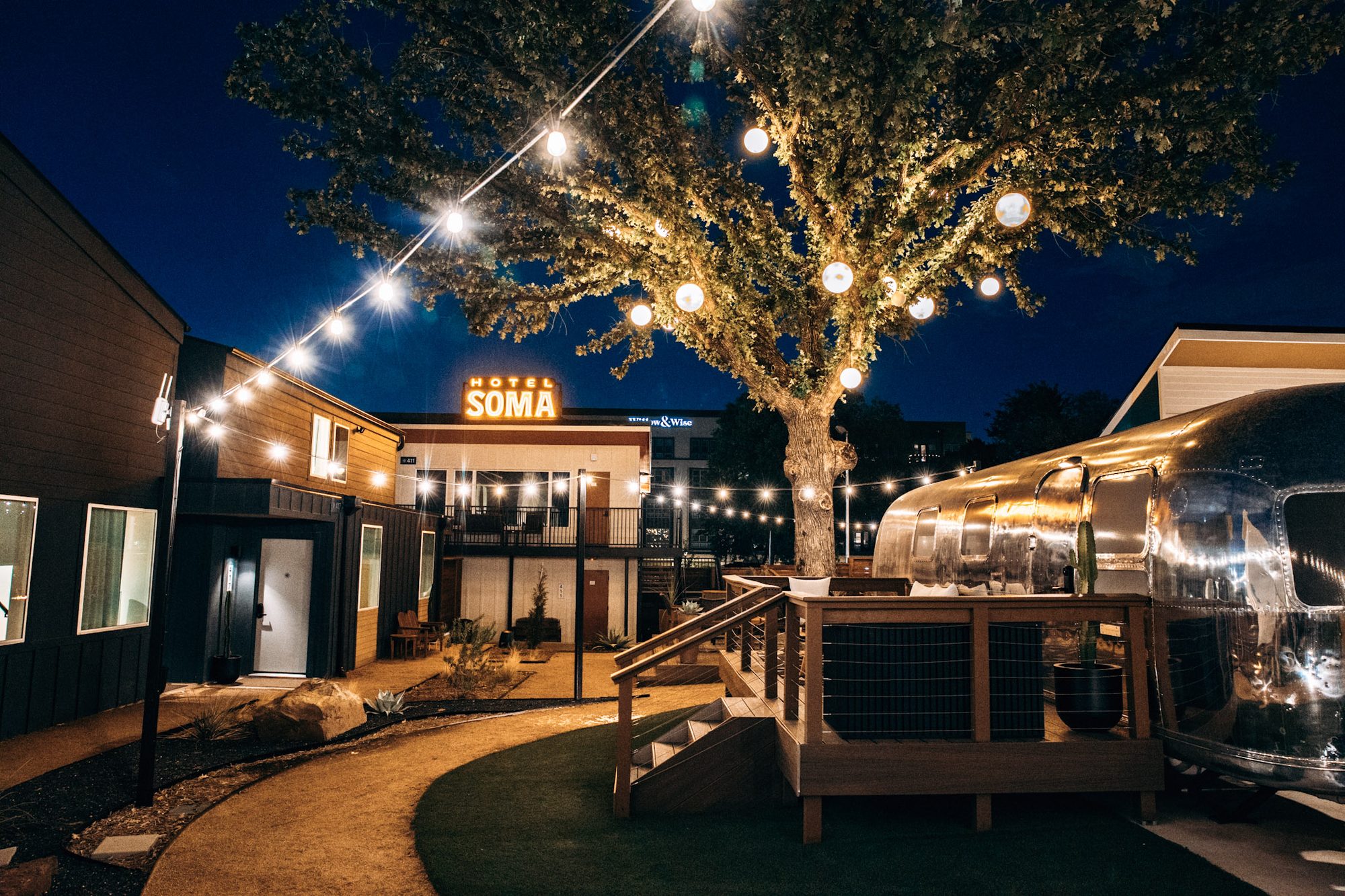 The lantern-lit oak tree over the Hotel SOMA courtyard at night, Fort Worth