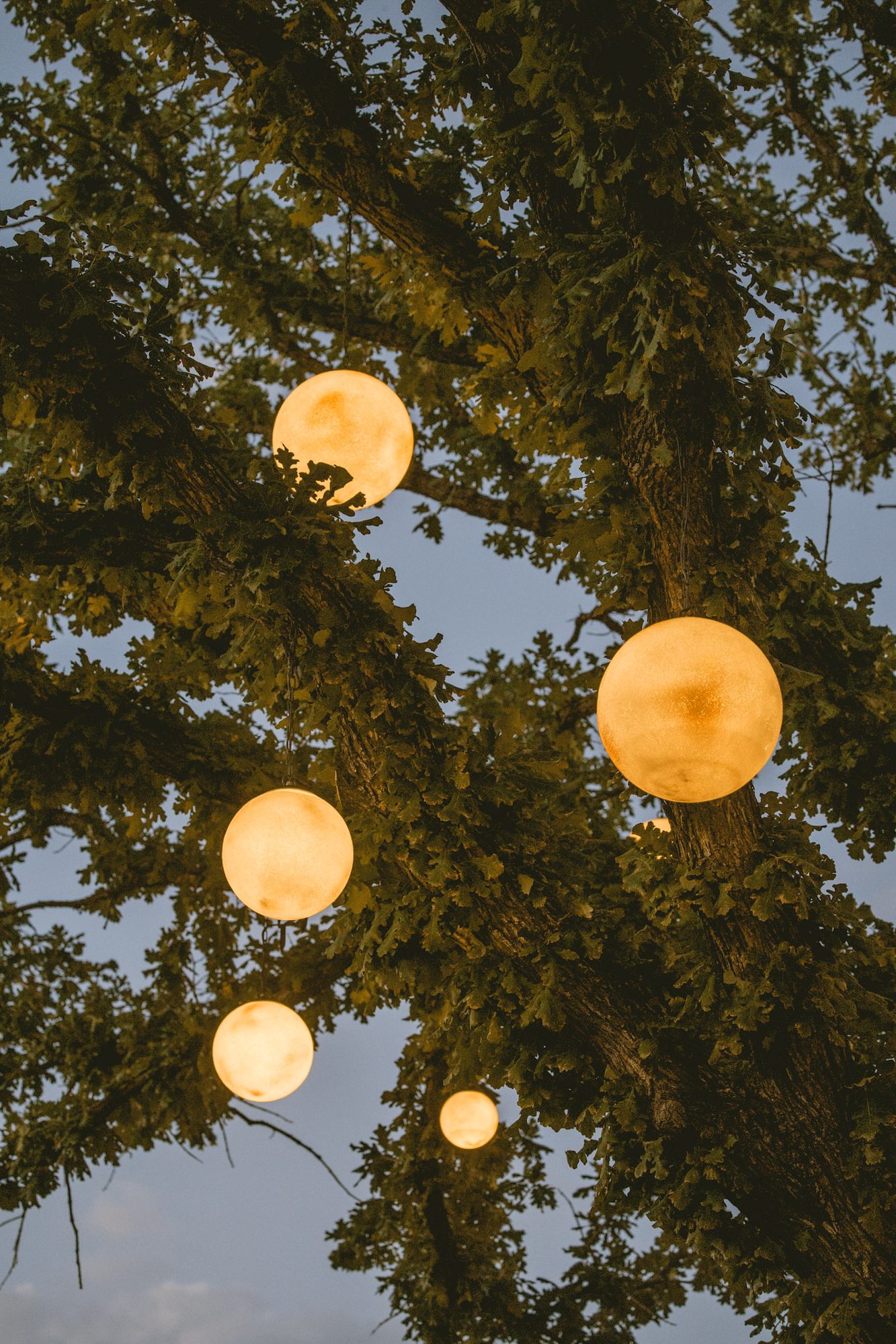 Paper lanterns glowing in the live oak over the Hotel SOMA courtyard